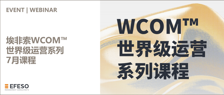 埃非索WCOM™世界级运营系列课程——WCM工具培训-柏拉图